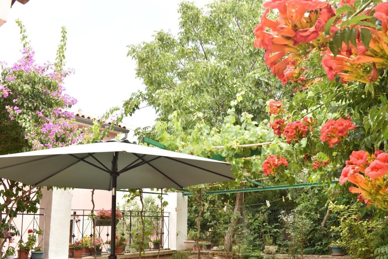 Holiday House Letizia Premantura Luaran gambar